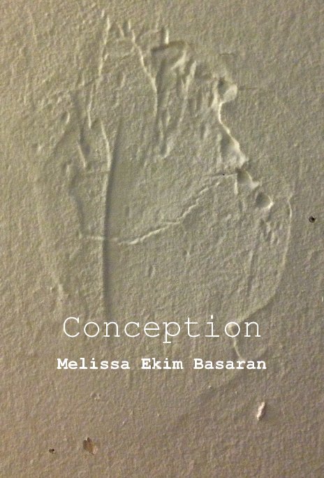 View Conception by Melissa Ekim Basaran