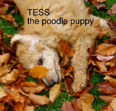 TESS the poodle puppy book cover