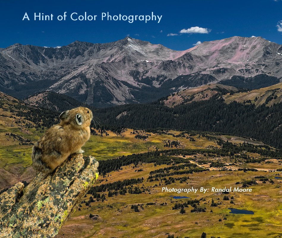 Ver A Hint of Color Photography por Photography By: Randal Moore
