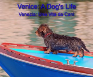 Venice: A Dog's Life book cover