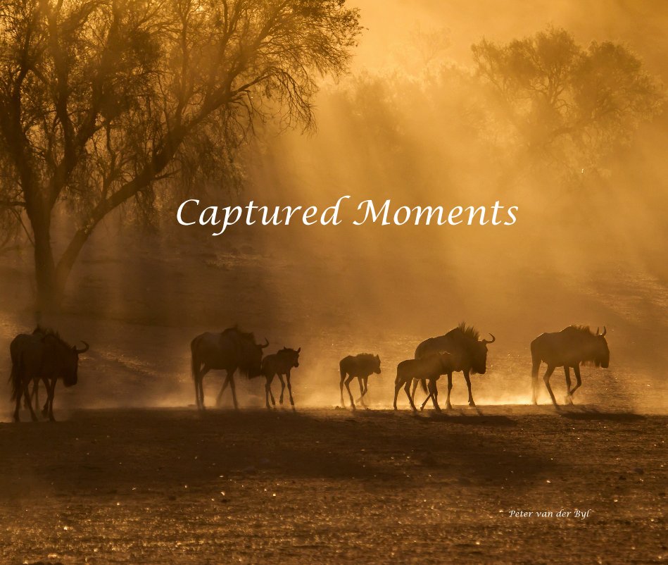 Ver Captured Moments por Peter van der Byl