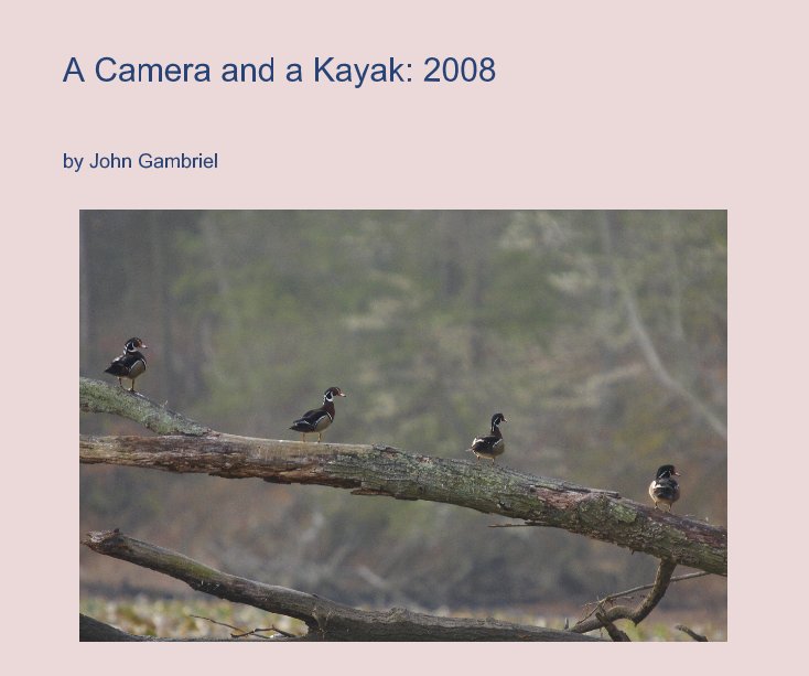 A Camera and a Kayak: 2008 nach John Gambriel anzeigen