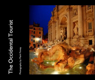 The Occidental Tourist book cover