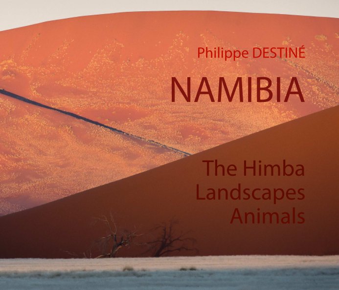 View NAMIBIA - Himba - Namibie by Philippe DESTINÉ