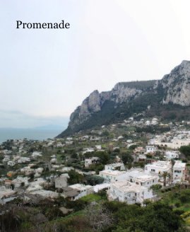 Promenade book cover
