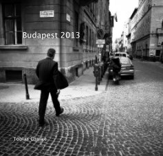 Budapest 2013 book cover