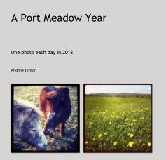 A Port Meadow Year book cover