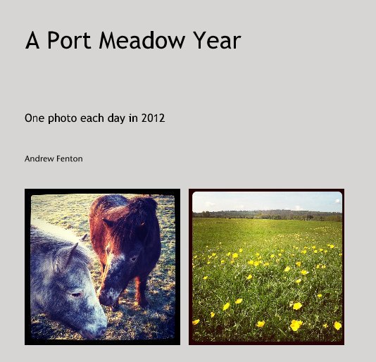 View A Port Meadow Year by Andrew Fenton