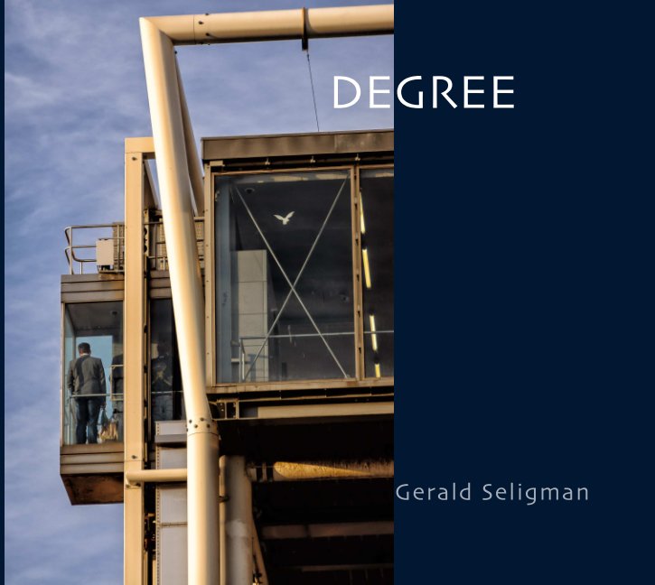 View Degree by Gerald Seligman