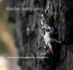 display 2012-2013 book cover