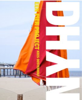 DHNY Pier Project#013 book cover