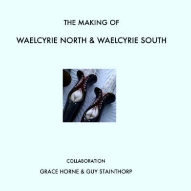 Waelcyrie North & Waelcyrie South book cover
