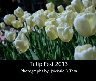 Tulip Fest 2013 book cover
