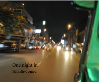 One night in book cover