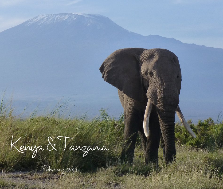 View Kenya and Tanzania by kgursky