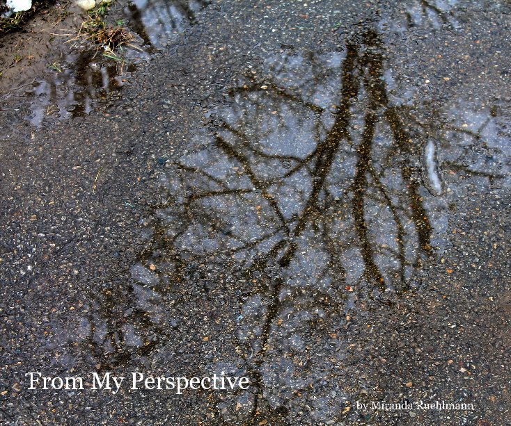 View From My Perspective by Miranda Ruehlmann