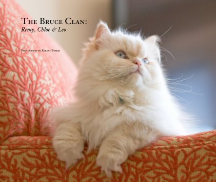 The Bruce Clan: Remy, Chloe and Leo book cover