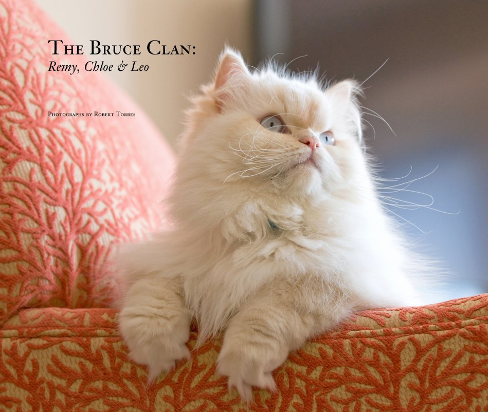 View The Bruce Clan: Remy, Chloe and Leo by Robert Torres