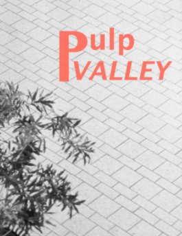 Pulp Valley book cover