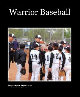Warrior Baseball book cover