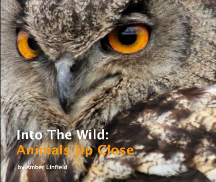 Into The Wild: Animals Up Close book cover