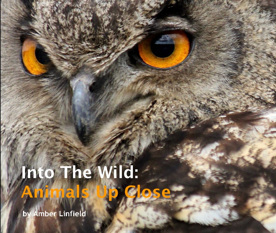 Visualizza Into The Wild: Animals Up Close di Amber Linfield