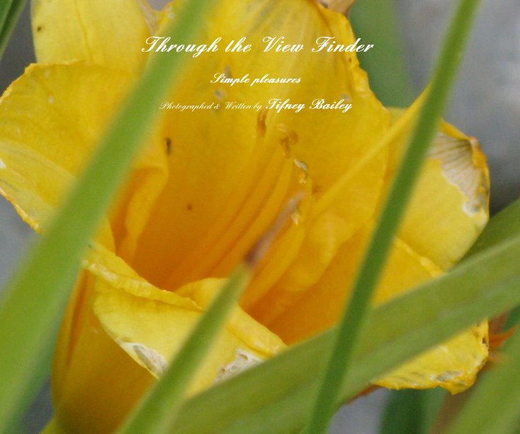 Ver Through the Veiw Finder por Photographed & Written by Tifney Bailey