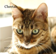 Cheetah book cover