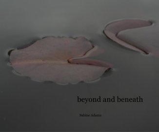 beyond and beneath book cover