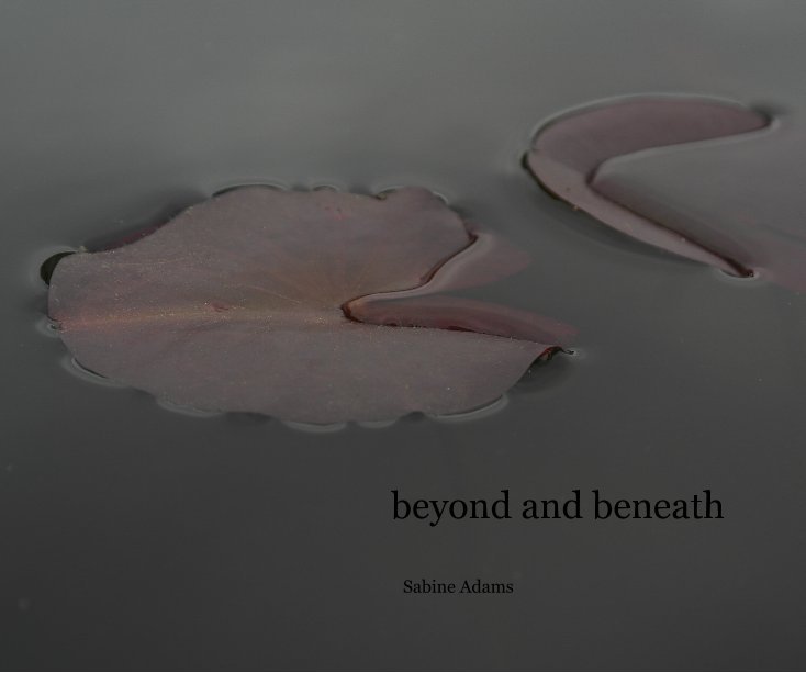 Ver beyond and beneath por Sabine Adams