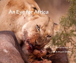 An Eye for Africa book cover