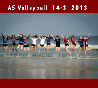 A5 Volleyball 14-3 2013 book cover