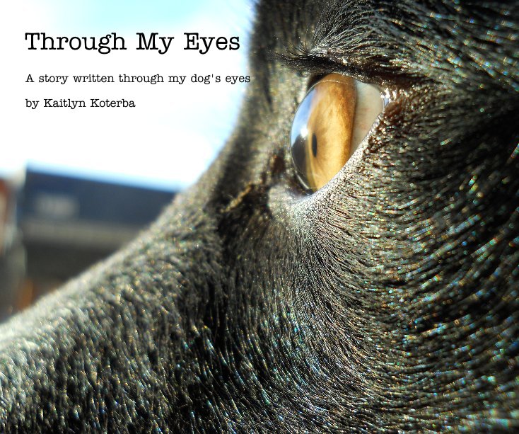 Ver Through My Eyes por Kaitlyn Koterba