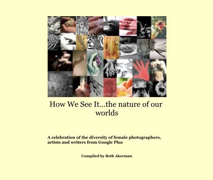 How We See It...the nature of our worlds book cover