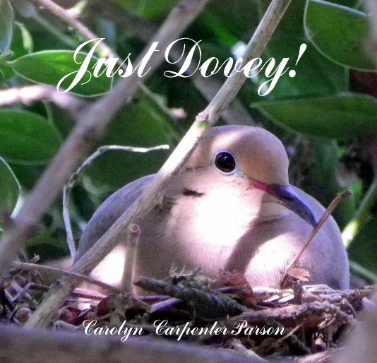 Ver Just Dovey! por Carolyn Carpenter Parson