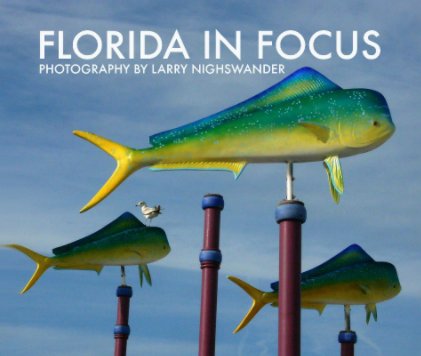 Florida In Focus book cover