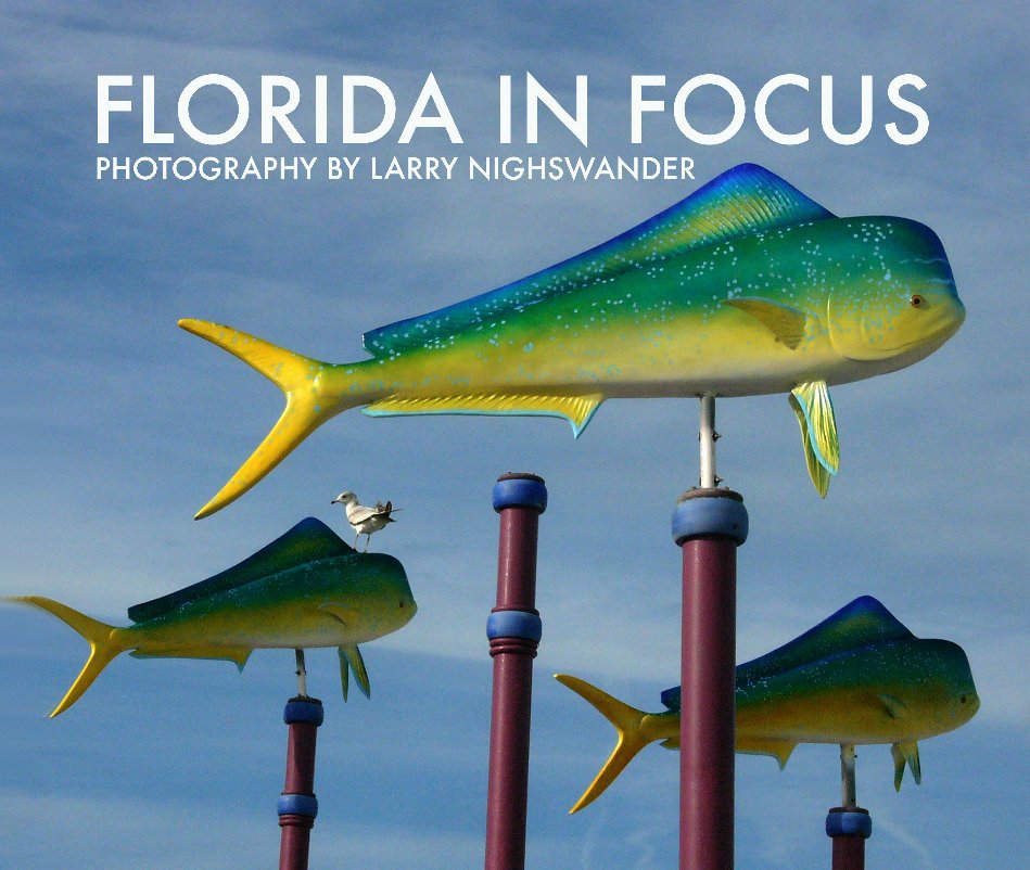 Ver Florida In Focus por CMYK Studios