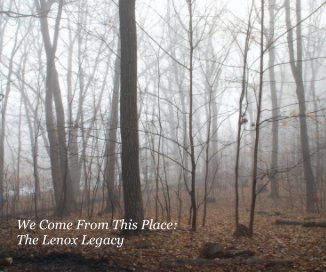 We Come From This Place: The Lenox Legacy book cover