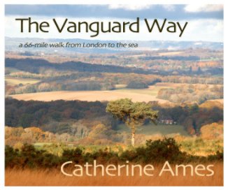 The Vanguard Way book cover