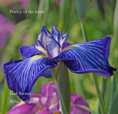 Poetry of the wind book cover