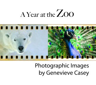 A Year at the Zoo book cover