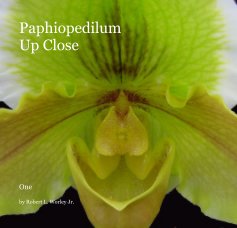 Paphiopedilum Up Close book cover