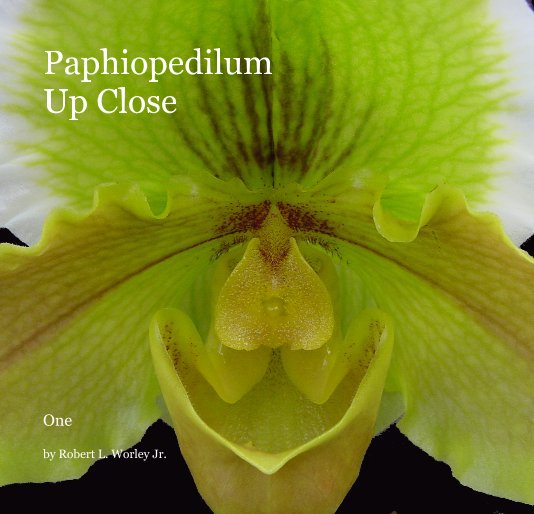 View Paphiopedilum Up Close by Robert L. Worley Jr.