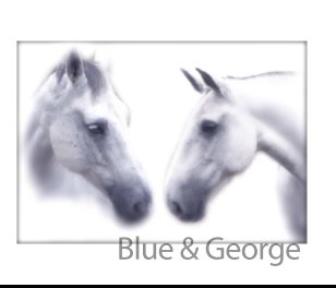 Blue & George book cover
