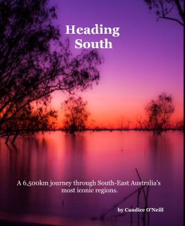 Heading South book cover