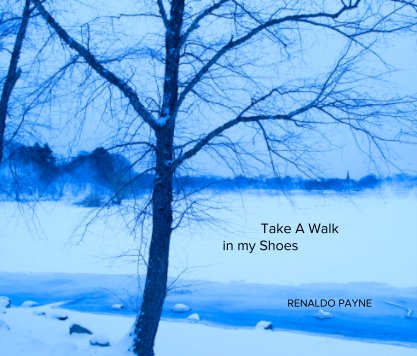 Take A Walk
                                                  in my Shoes book cover