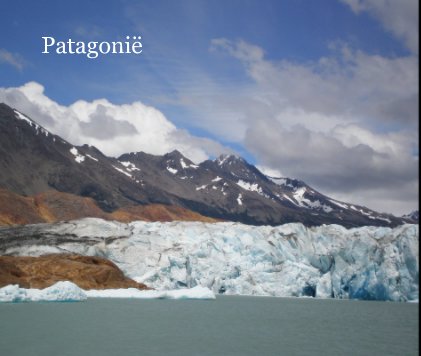 Patagonië book cover