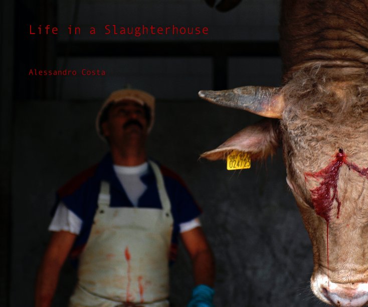 View Life in a Slaughterhouse by Alessandro Costa
