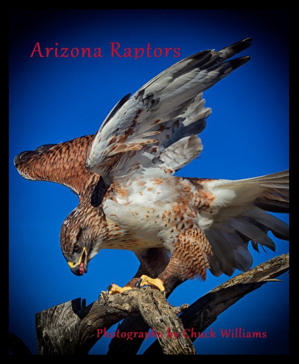 View Arizona Raptors by Photographs by Chuck Williams