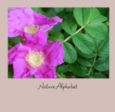 Nature Alphabet book cover
